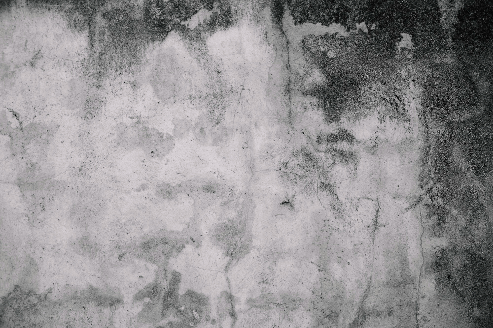 Best Water Leak Mold Testing Experts